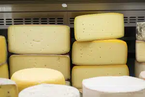 Cheese